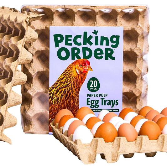 Pecking Order - Bandejas para huevos de papel reciclado, rectangulares, biodegradables y compostables, paquete de 20