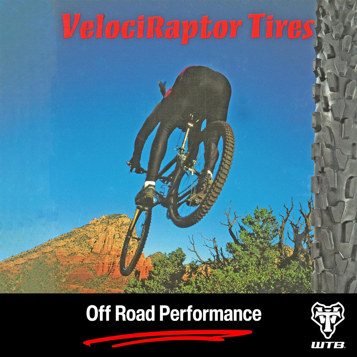 WTB Velociraptor Comp Tire