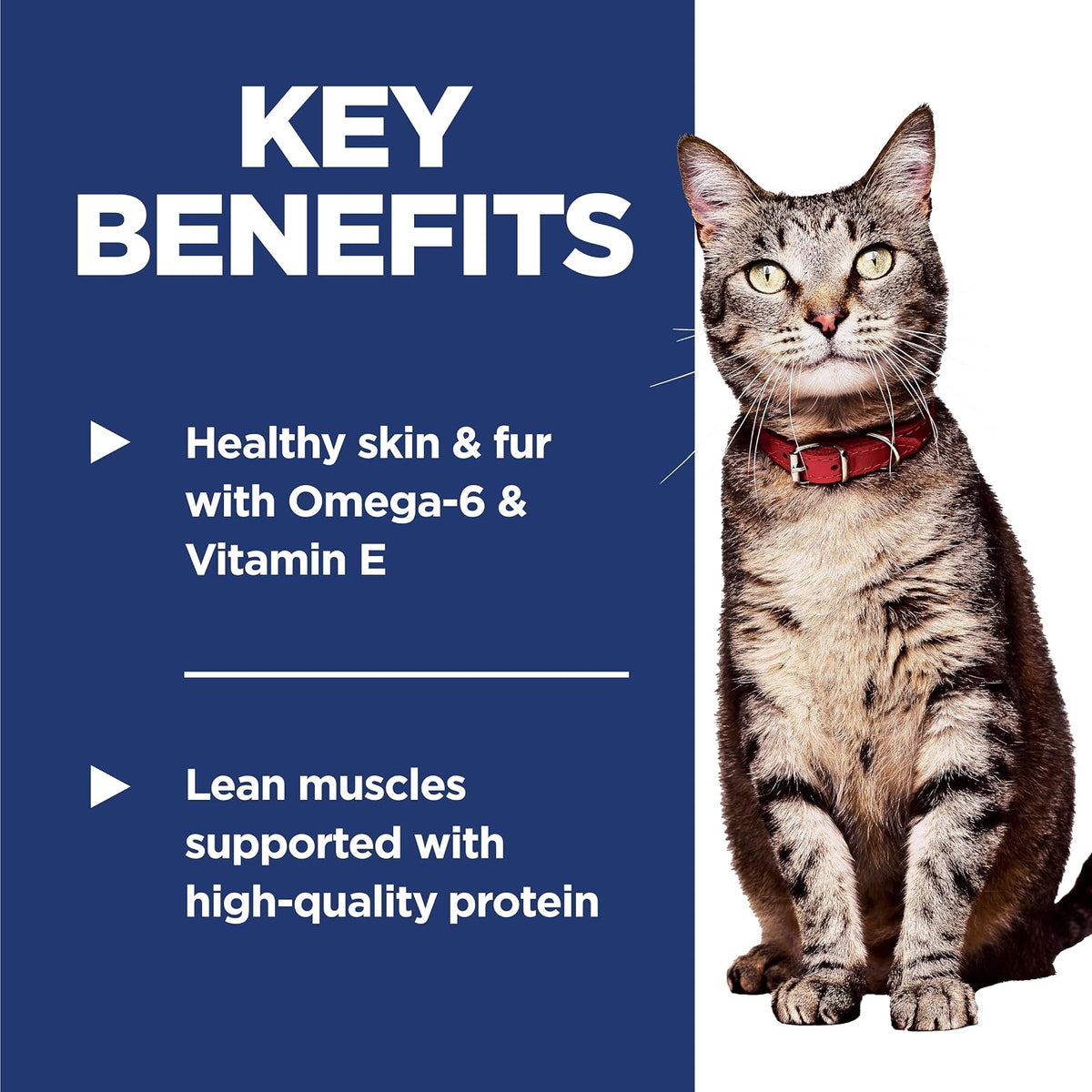 Hill's Science Diet Croquetas para Gato Adulto Sabor Salmón 1.5Kg | Croquetas Hill's para gato, salmón real, digestión saludable, sistema inmunológico fuerte, omega-6 y vitamina E