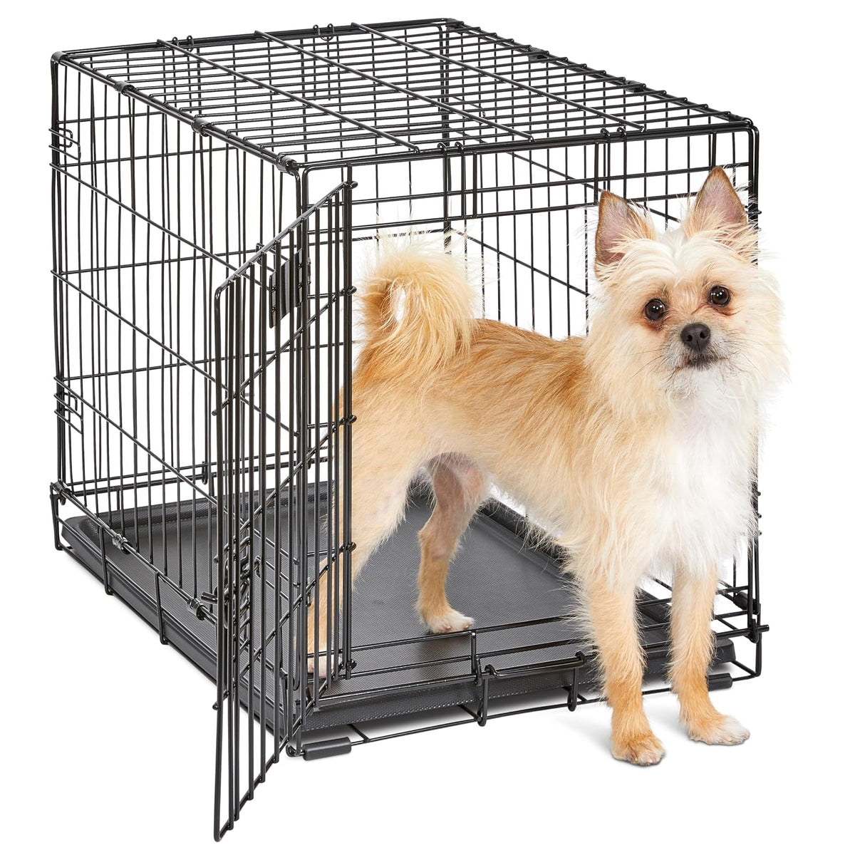 MidWest Homes for Pets Jaula iCrate Plegable para Perro con Panel Divisor - 24-Inch w - Divider - Puerta única