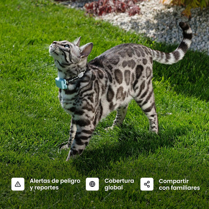 Tractive - Rastreador GPS y monitoreo de Salud para Gatos (6 Libras +) - Rastreador de ubicación GPS para Mascotas líder en el Mercado | Alertas de Bienestar y Escape, Impermeable, Funciona con