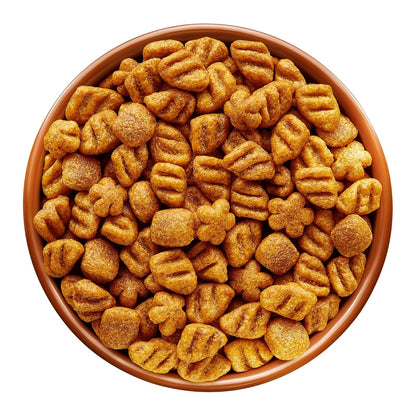 Dog Chow Purina 7501072202697 Comida para Perros Adulto Raza Pequeña, 4 KG
