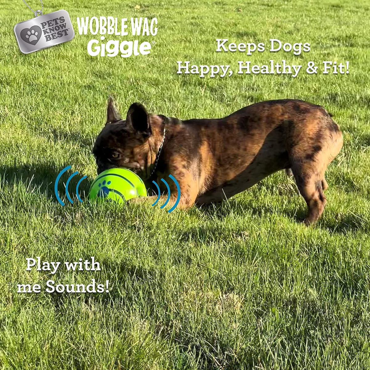 Wobble Wag Giggle Ball Paquete de 2 Juguetes interactivos para Perros, Divertidos Sonidos de risita Cuando se enrollan o se sacuden, Las Mascotas Saben Mejor: 1 Original y 1 Bola Que Brilla en la