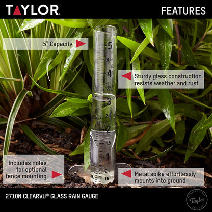 Taylor 2710N2 Medidor de lluvia montable, transparente, paquete de 2