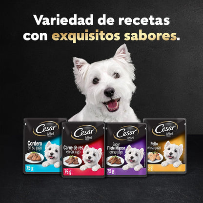 Cesar - Sobres de Alimento para Perros Adultos, Sabor Cordero y Vegetales, 75g c/u., Paquete de 24 Sobres