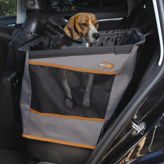 K&H Pet Products Hebilla N' Go Asiento de Automóvil para Mascotas, Gris, Small (21" x 13" x 19")