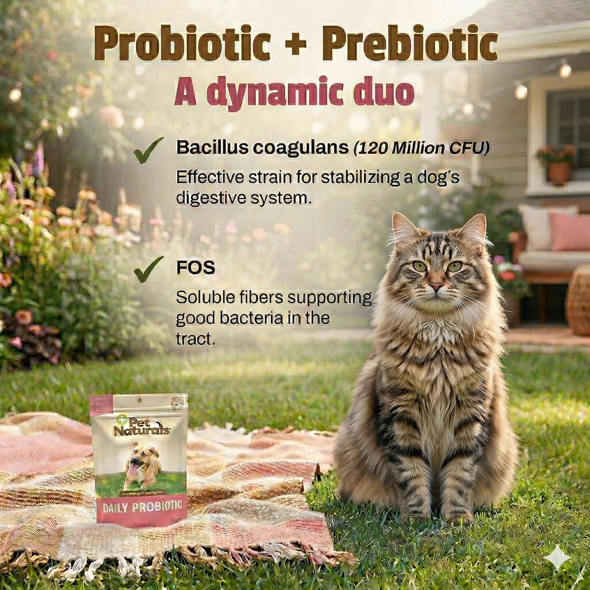 Pet Naturals Suplementos Naturales Digestión Diaria para Gatos
