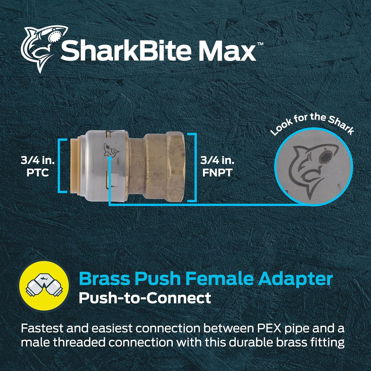 SharkBite Adaptador hembra de latón de 3/4 x 3/4 pulgadas, Push-fit para tubería PEX, cobre, CPVC, PE-RT, HDPE, UR088A
