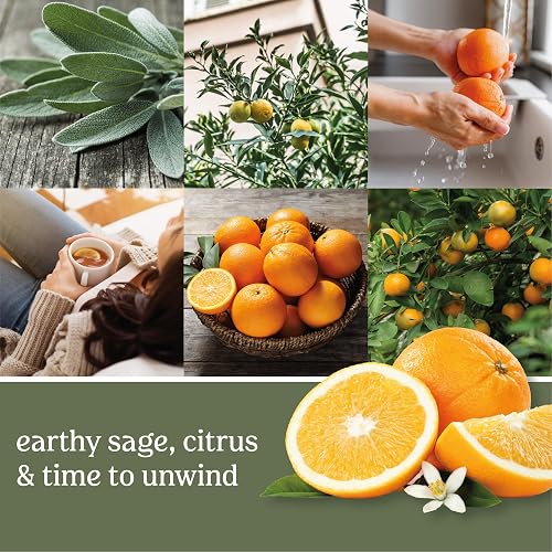 Yankee Candle Large Jar Candle Sage & Citrus