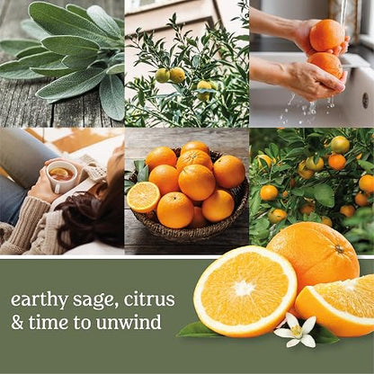 Yankee Candle Large Jar Candle Sage & Citrus