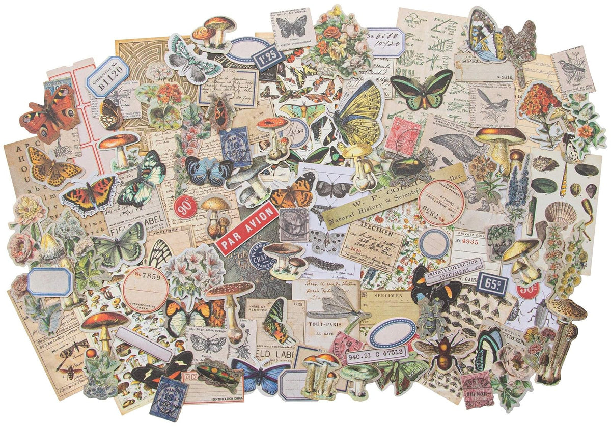 62207 Tombow Mono Repuestos de Cinta Adhesiva Permanente, Paquete de 3 + Tim Holtz Advantus EPHEMERA SNIPPETS ID FIELDNOTES, nosotros: talla única, notas de campo