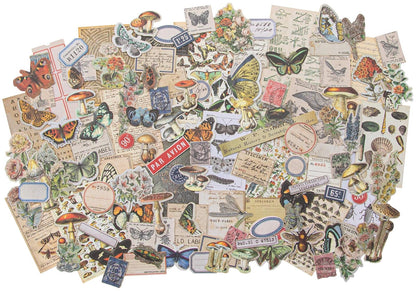 62207 Tombow Mono Repuestos de Cinta Adhesiva Permanente, Paquete de 3 + Tim Holtz Advantus EPHEMERA SNIPPETS ID FIELDNOTES, nosotros: talla única, notas de campo