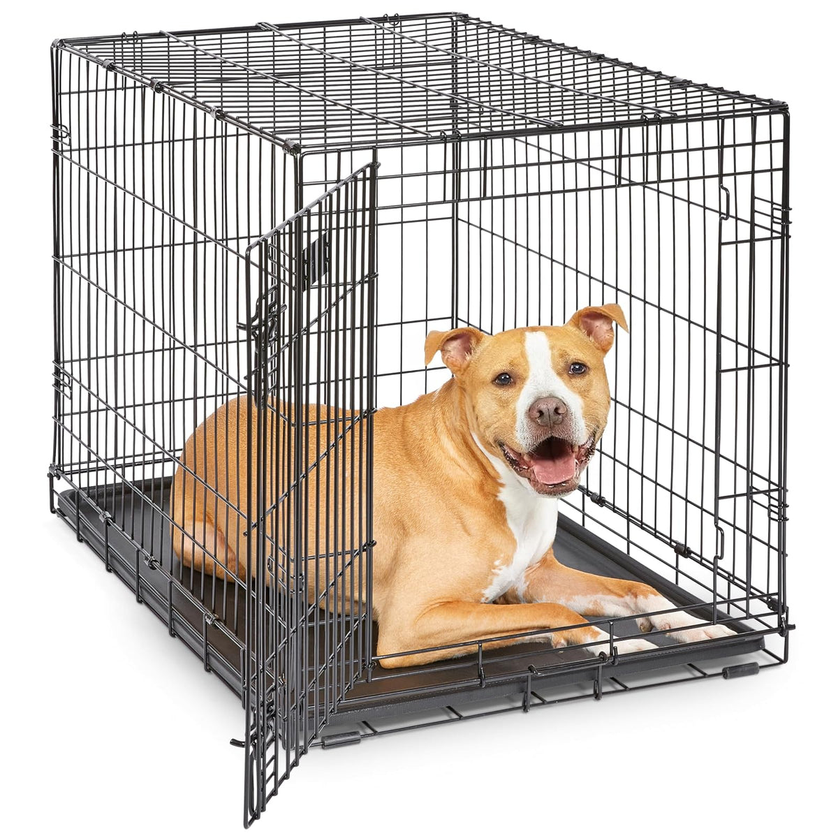 MidWest Homes for Pets Jaula iCrate Plegable para Perro con Panel Divisor - 36-Inch w - Divider - Puerta única
