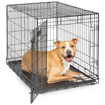 MidWest Homes for Pets Jaula iCrate Plegable para Perro con Panel Divisor - 36-Inch w - Divider - Puerta única