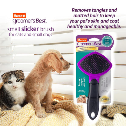 HARTZ - El mejor cepillo de peluquero para gatos y perros pequeños