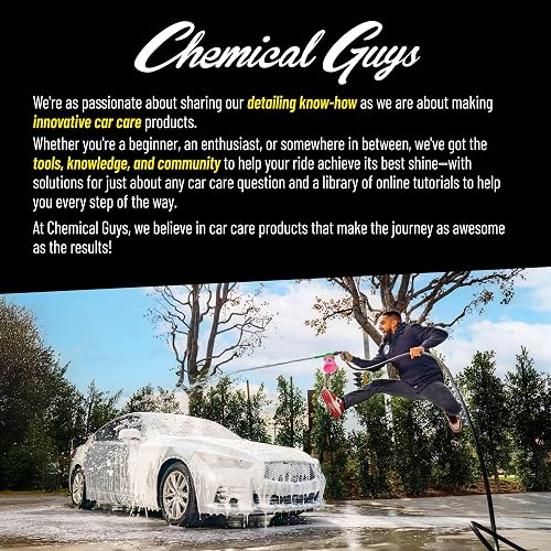 Chemical Guys Induro 7 Heavy Duty Nifty Cepillo para Detallar Alfombras y Tapicerías Interiores (Ideal para Automóviles, Camiones, todoterrenos, vehículos recreativos, hogar, Oficina, Muebles y Mucho más)