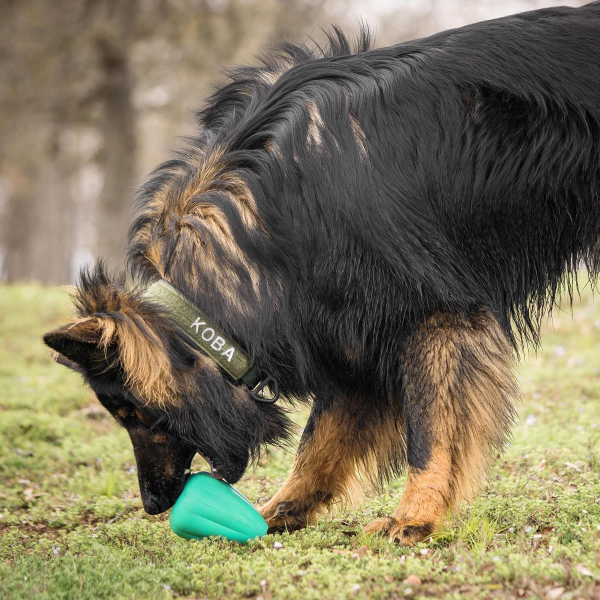 Chew King Juguete Premium para Perro, XL, Juguete de Goma Natural Extremadamente Duradero, Paquete de 2