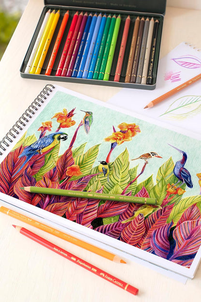 Faber-Castell Polychromos Profesionales para Arte con 24 distintos Colores, set colores de calidad profesional, diseñado para ofrecer a los artistas y aficionados una herramienta de dibujo excepcional