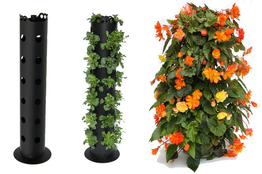 BALDUR-Garten Apollo Exports International AP-FT002 Torre de Flores no Empotrado, 3 pies