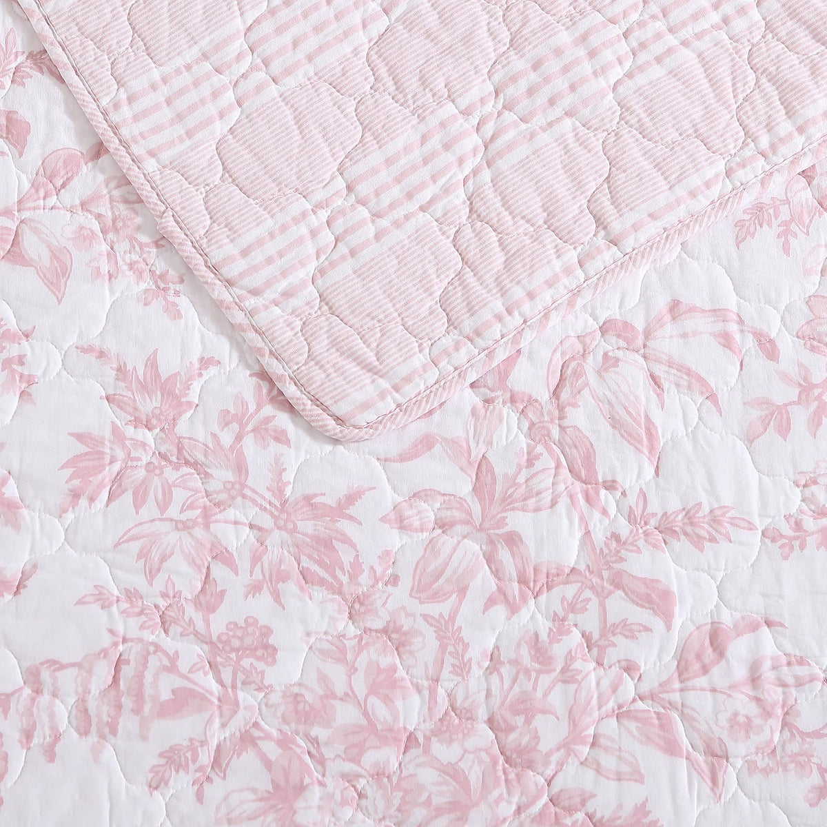 Laura Ashley - Juego de edredón Individual, Ropa de Cama Reversible de algodón con Funda a Juego, Ligero para Uso Durante Todo el año, Juego de Cama con Estampado Floral, Esencial para recámara