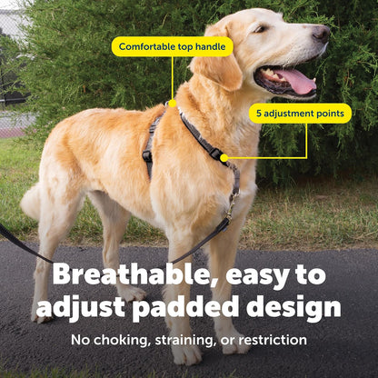 PetSafe Arnés para perro 3 en 1, solución sin tirones, arnés reflectante, clip frontal de anillo en D, correas acolchadas, mango superior, color negro, grande