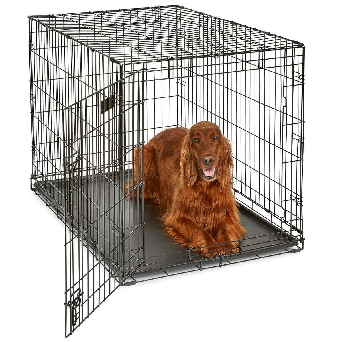 MidWest Homes for Pets Caja para perro iCrate de una y doble puerta mejorada, incluye sartén a prueba de fugas, pies protectores de suelo, panel divisor y nuevas características patentadas