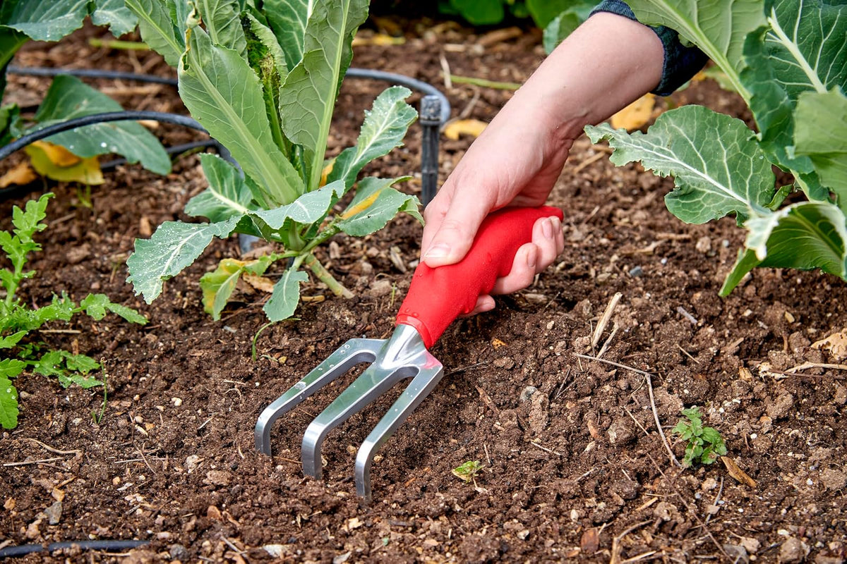 Corona CT 3030I Comfort Cultivador