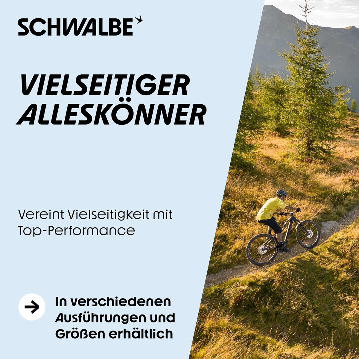 Schwalbe Fahrrad Reifen - Falda de afeitar Addix S // alle Größen