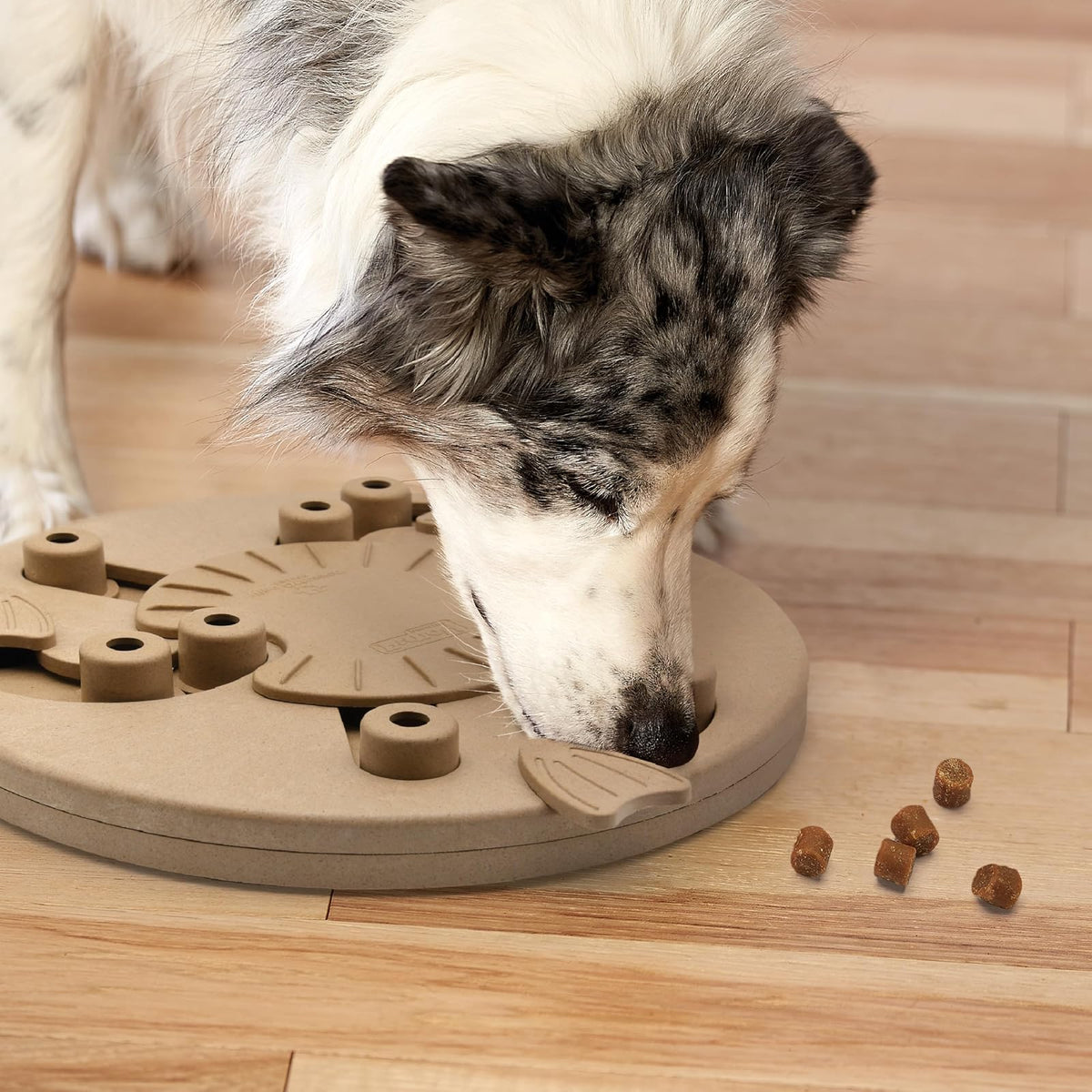 Outward Hound Nina Ottosson Dog Puzzle Toy Dog Game