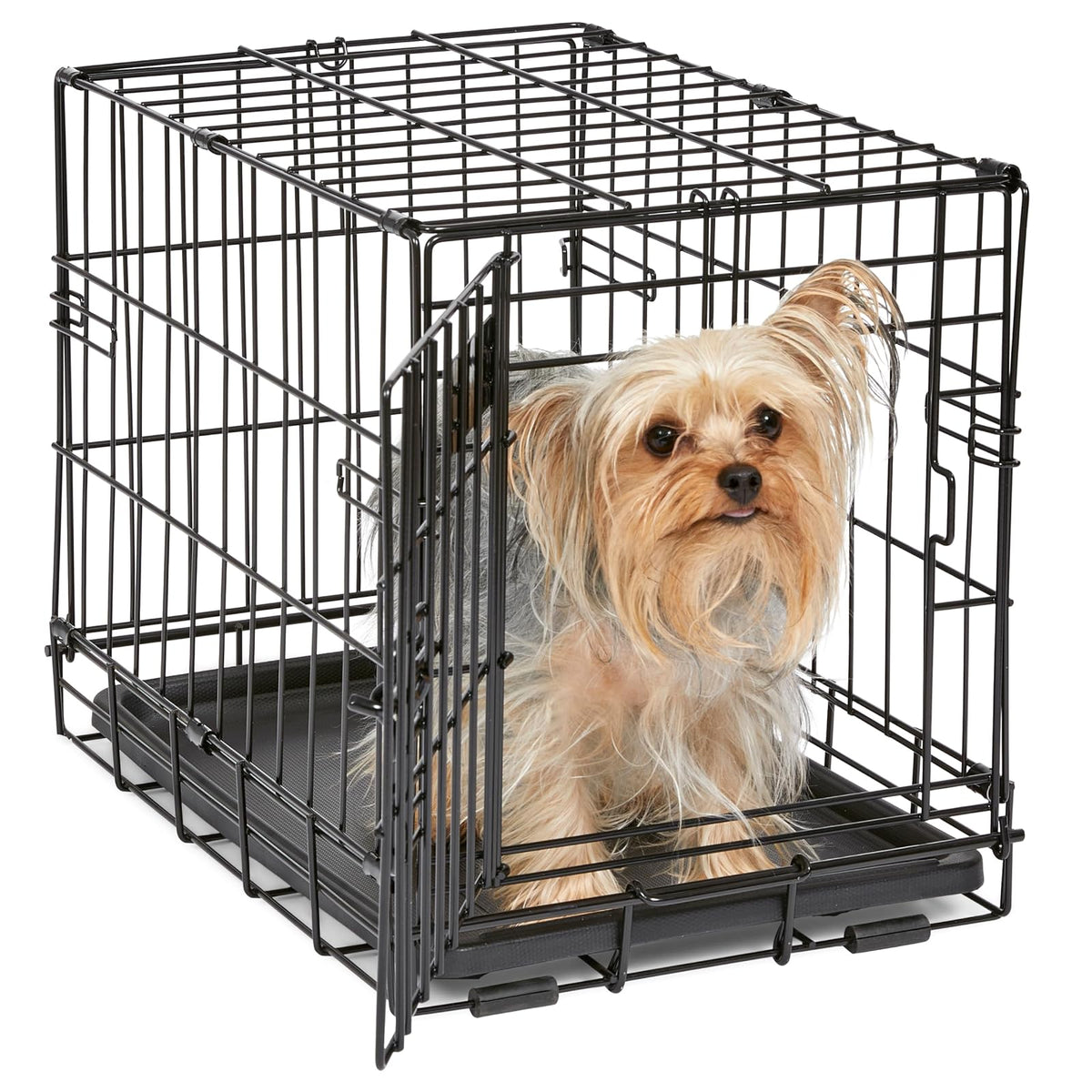 MidWest Homes for Pets Jaula iCrate Plegable para Perro con Panel Divisor - 18-Inch w - Divider - Puerta única