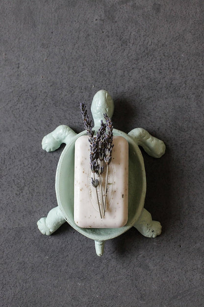 Creative Co-Op Jabonera de Hierro Fundido para Tortuga
