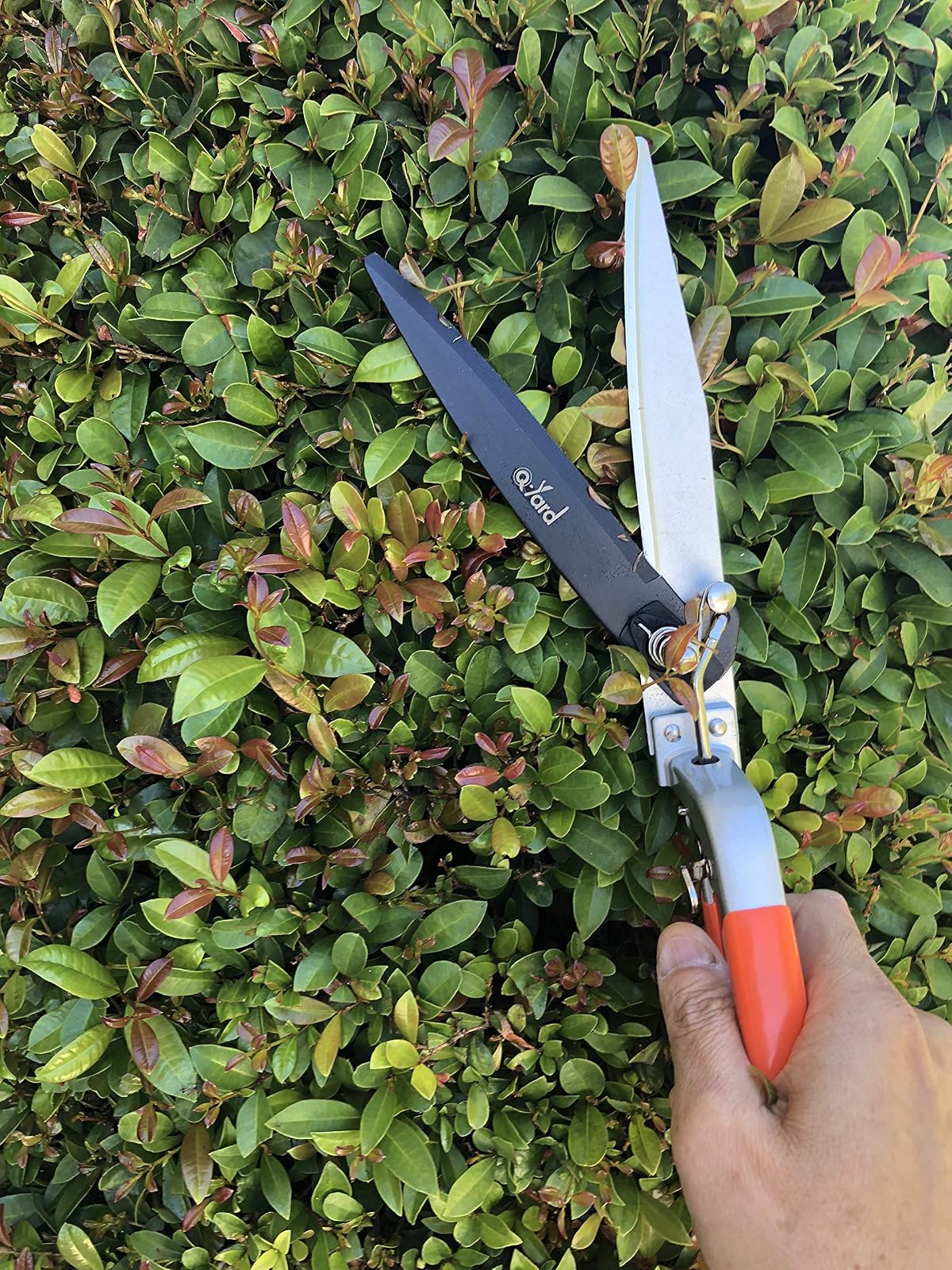 Q-Yard QY-741F - Tijeras de jardinería para jardín (Extra afiladas, Corte más fácil, cómodas, ergonómicas, Menos Esfuerzo, Tijeras de jardinería para Hombres y Mujeres, Color Naranja