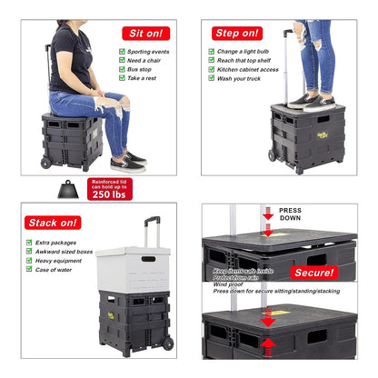 dbest products Quik Cart Sport – Carrito Plegable con Ruedas para Profesores, Cesta de Transporte de 36 kg de Capacidad, Fabricado en plástico Resistente, Negro, Compacto
