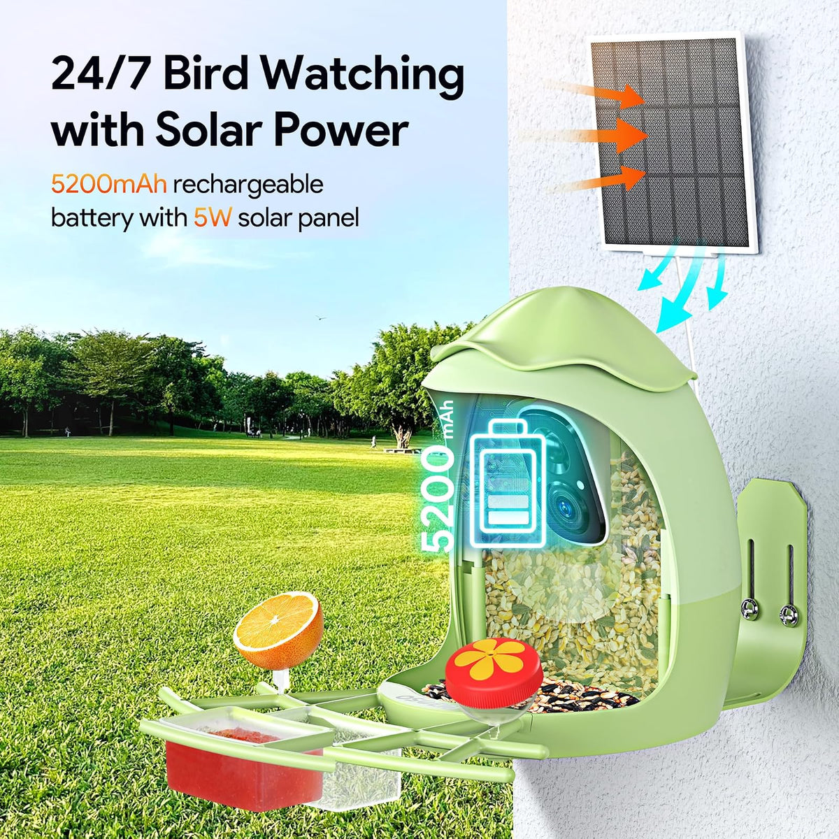 Osoeri - Alimentador inteligente para pájaros con cámara, cámara de alimentación solar HD con identificación de AI, captura automática de videos de pájaros y detección de movimiento, cámara de casa de