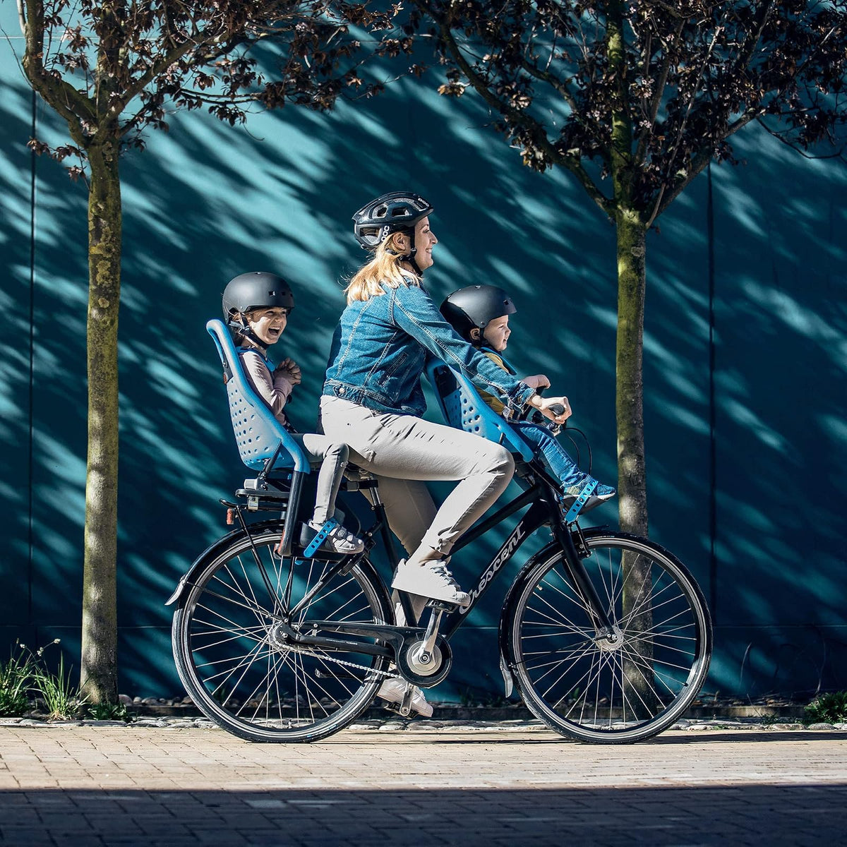 Thule Yepp Maxi Asiento para Bicicleta Infantil