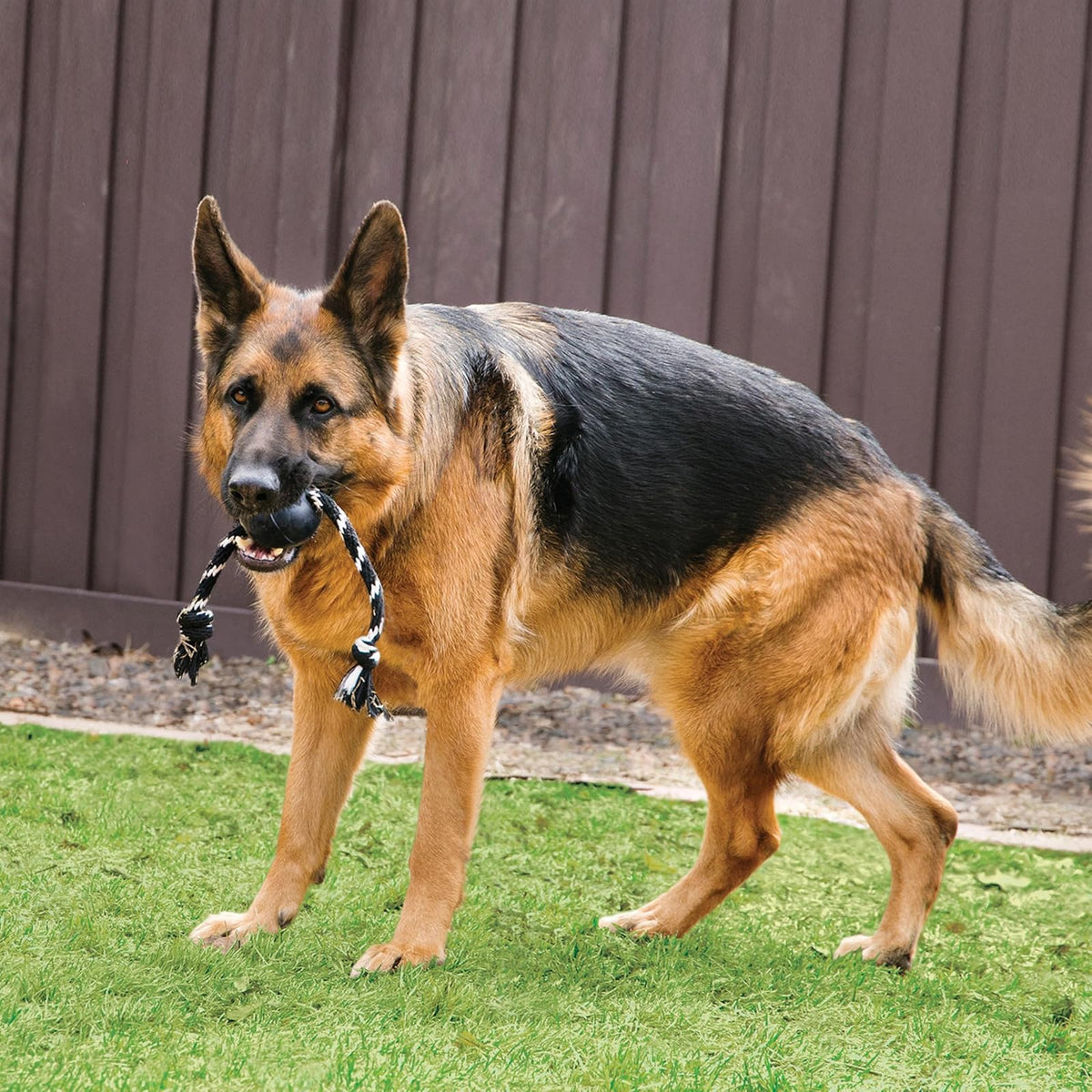Kong Extreme Pelota de Caucho con Cuerda para Perros Grandes