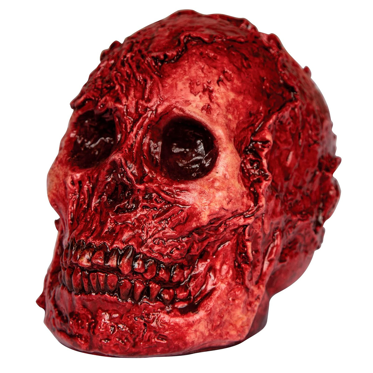 Ghoulish Productions Fleshy Skull, Artículo Decorativo de Craneo Sangirento, Adorno para Decoración de Halloween de Cabeza de Esqueleto Ideal para Casa de Terror y Día de Muertos