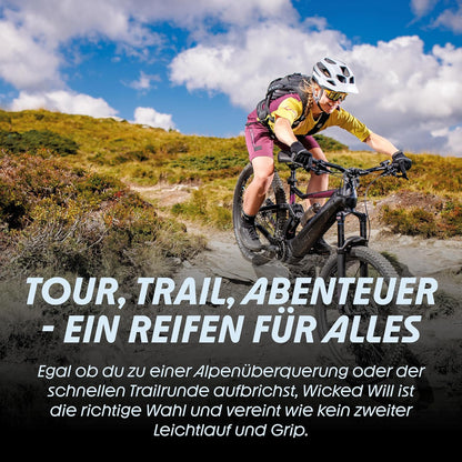 Schwalbe Fahrrad Reifen - Falda de afeitar Addix S // alle Größen