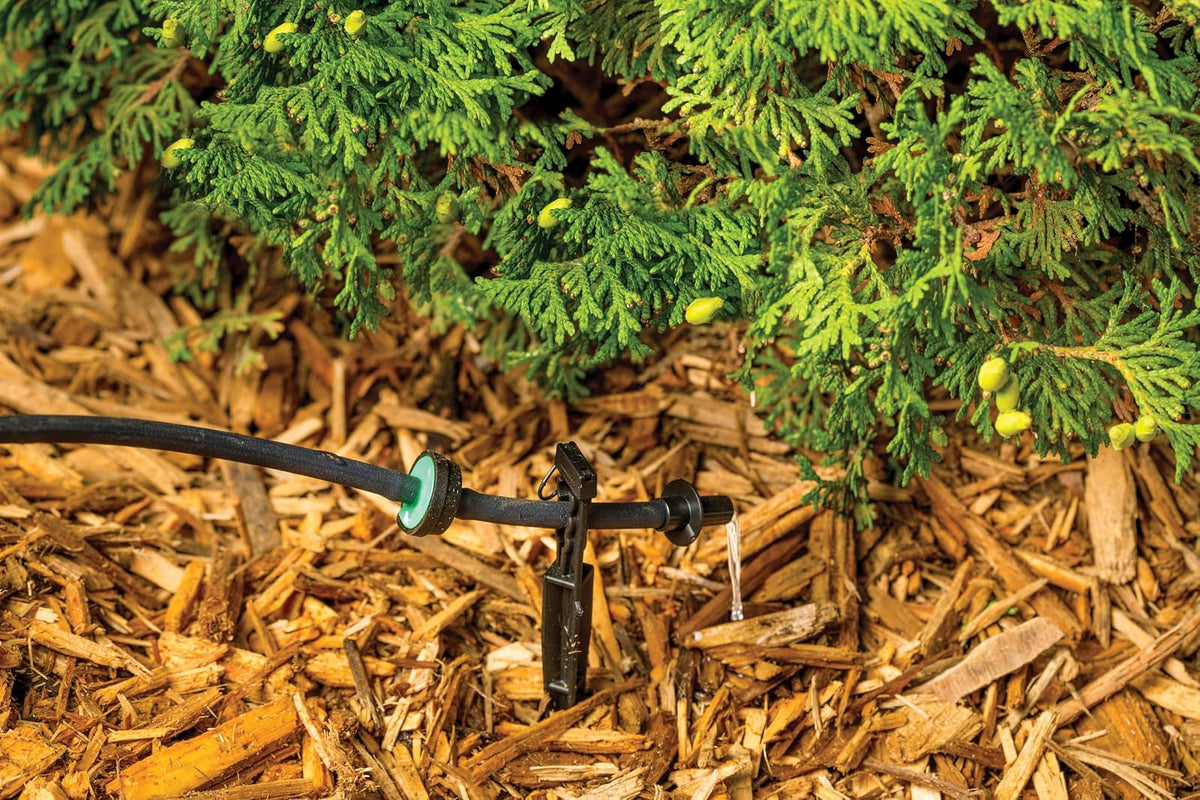 Rain Bird CVD2010PKXS Drip Irrigation Dripper/Emitter with Built-In Check Valve, 2 Gallon Per Hour, 10-Pack