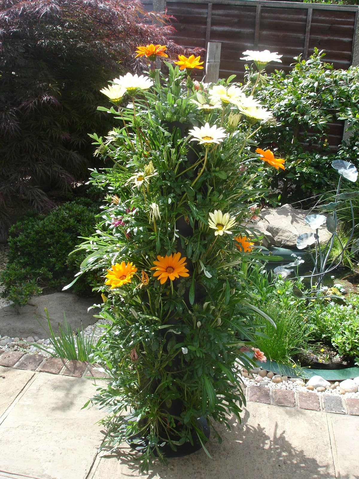 BALDUR-Garten Apollo Exports International AP-FT002 Torre de Flores no Empotrado, 3 pies
