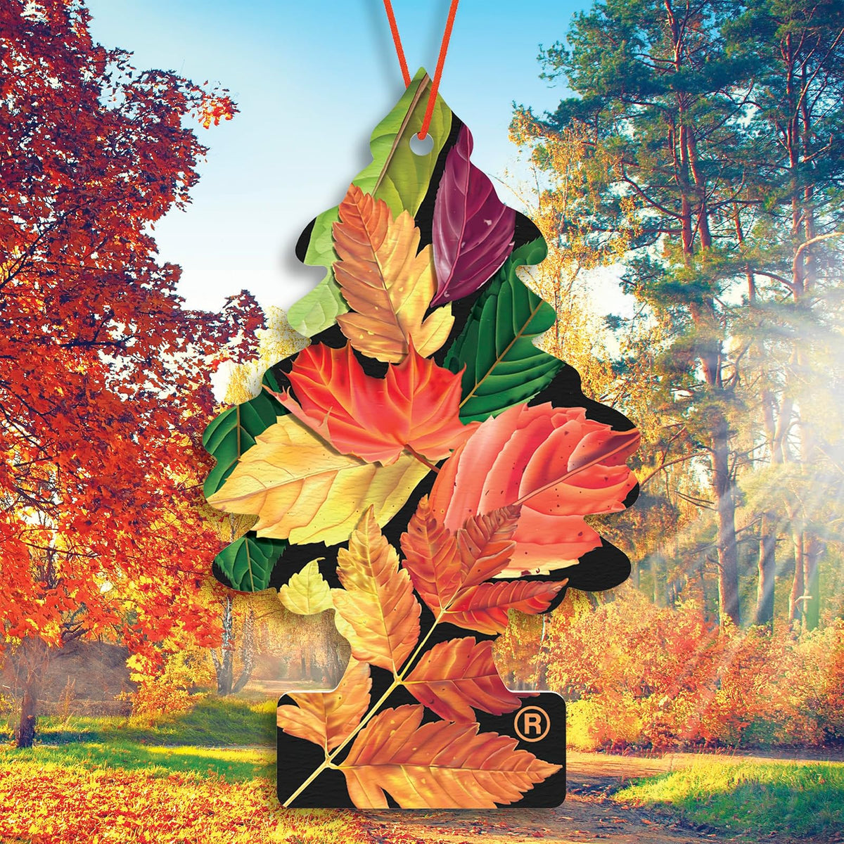 Little Trees - Ambientador para Automóvil, árbol Colgante Que Proporciona un Aroma Duradero para automóviles y hogares, Aire de otoño crujiente, 24 ambientadores