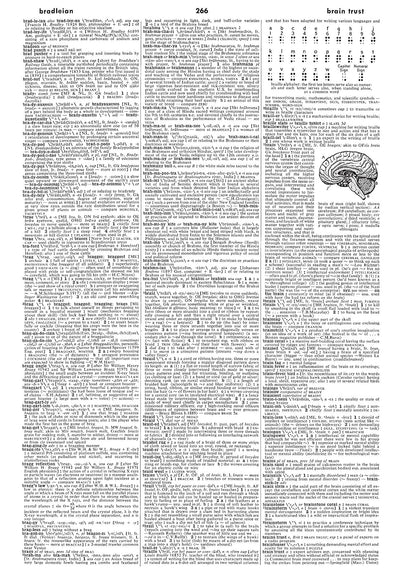 Webster's Third New International Dictionary, Unabridged