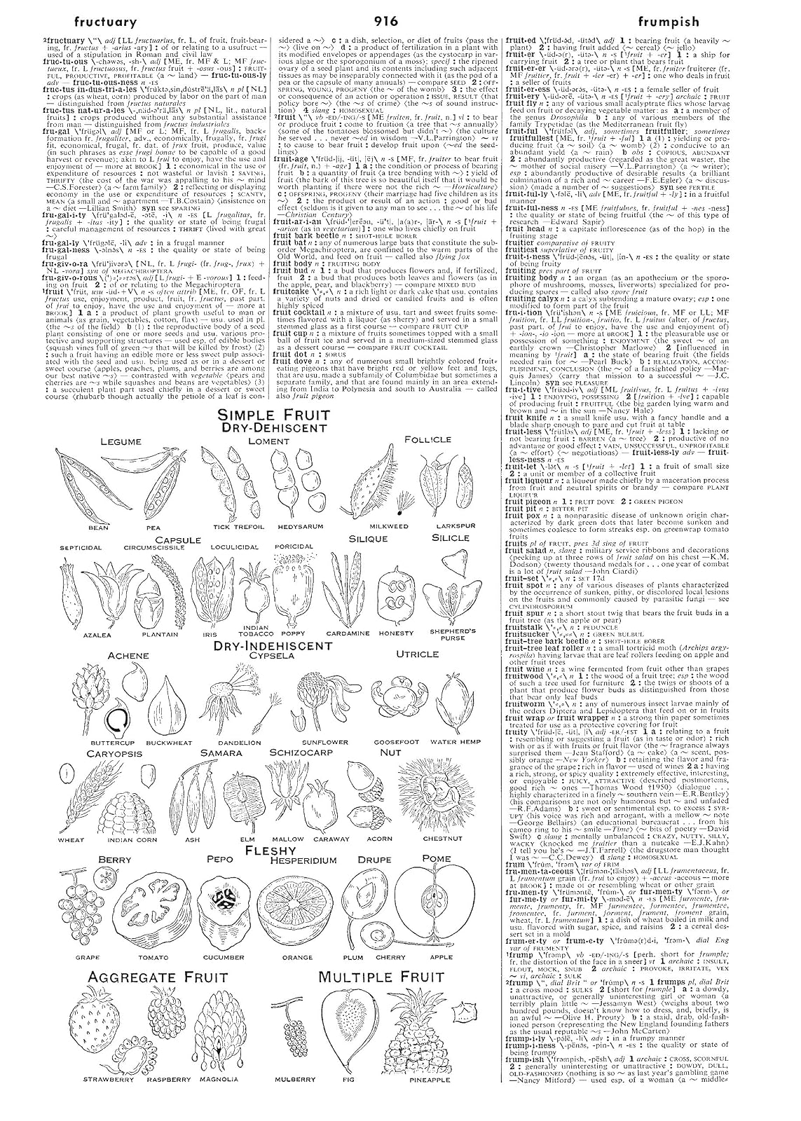 Webster's Third New International Dictionary, Unabridged