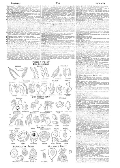 Webster's Third New International Dictionary, Unabridged