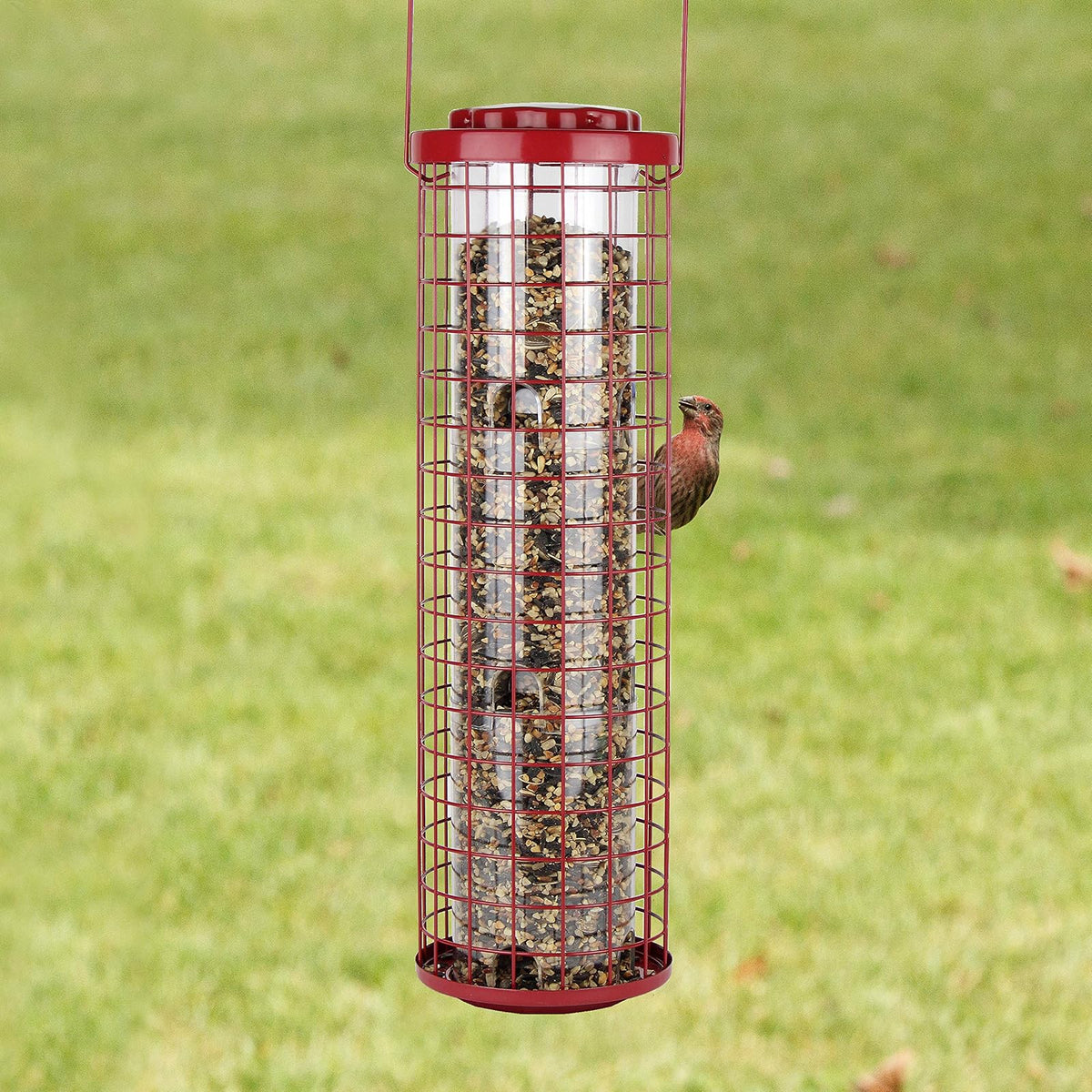 Perky-Pet 102 1.8 kg Resistente a Ardillas fácil alimentador