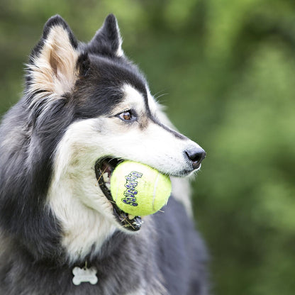 KONG Squeaker Tennis Balls, Small Dog Toy, 3-Pack