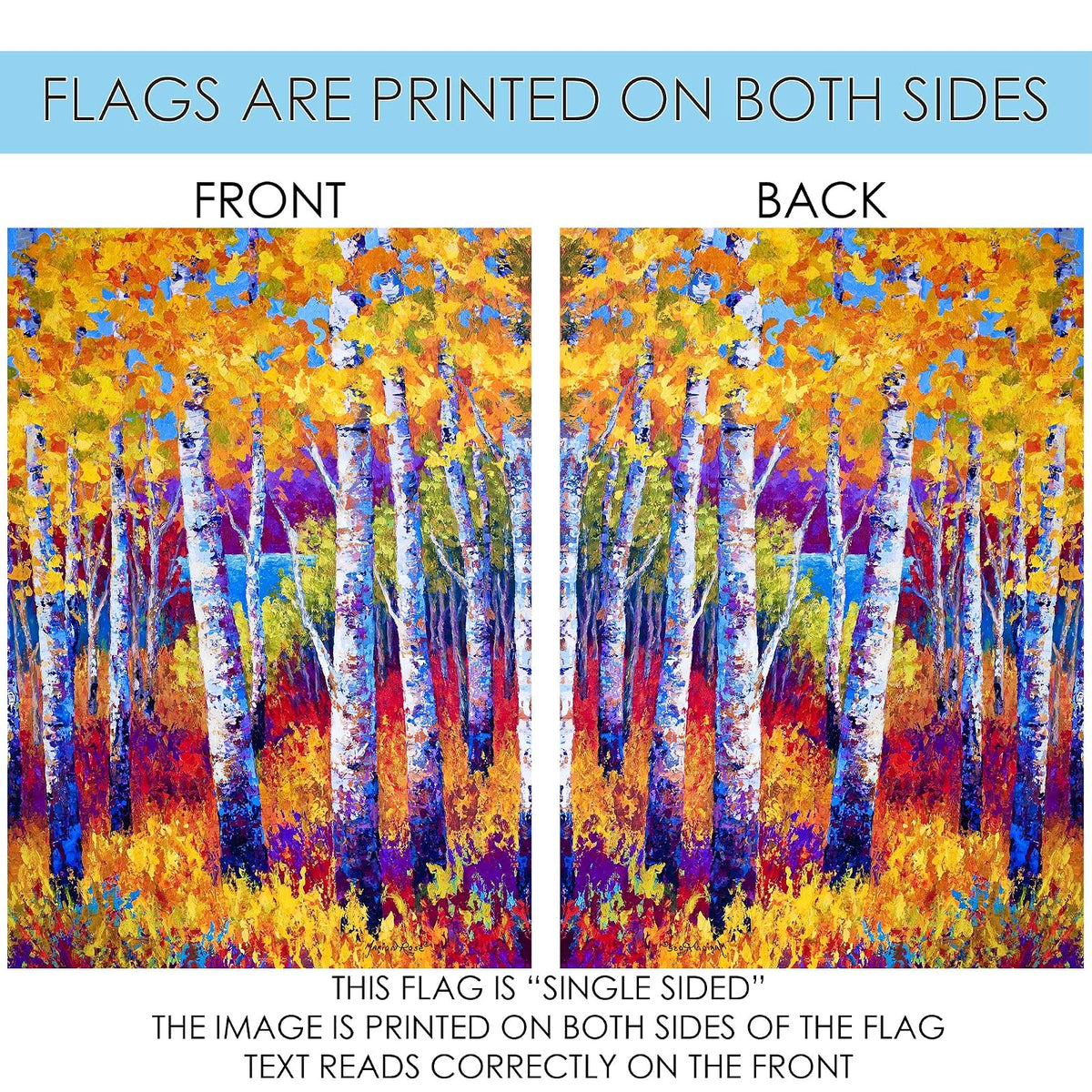 Toland Home Garden Blissful Birches 71.1 x 101.6 cm Decorativo Colorido Multicolor otoño árbol casa Bandera