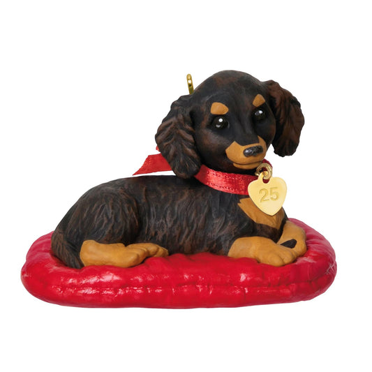 Hallmark - Adorno navideño de Recuerdo 2025, Cachorro Love Dachshund de Pelo Largo 2025, Regalos para Amantes de los Animales