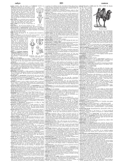Webster's Third New International Dictionary, Unabridged