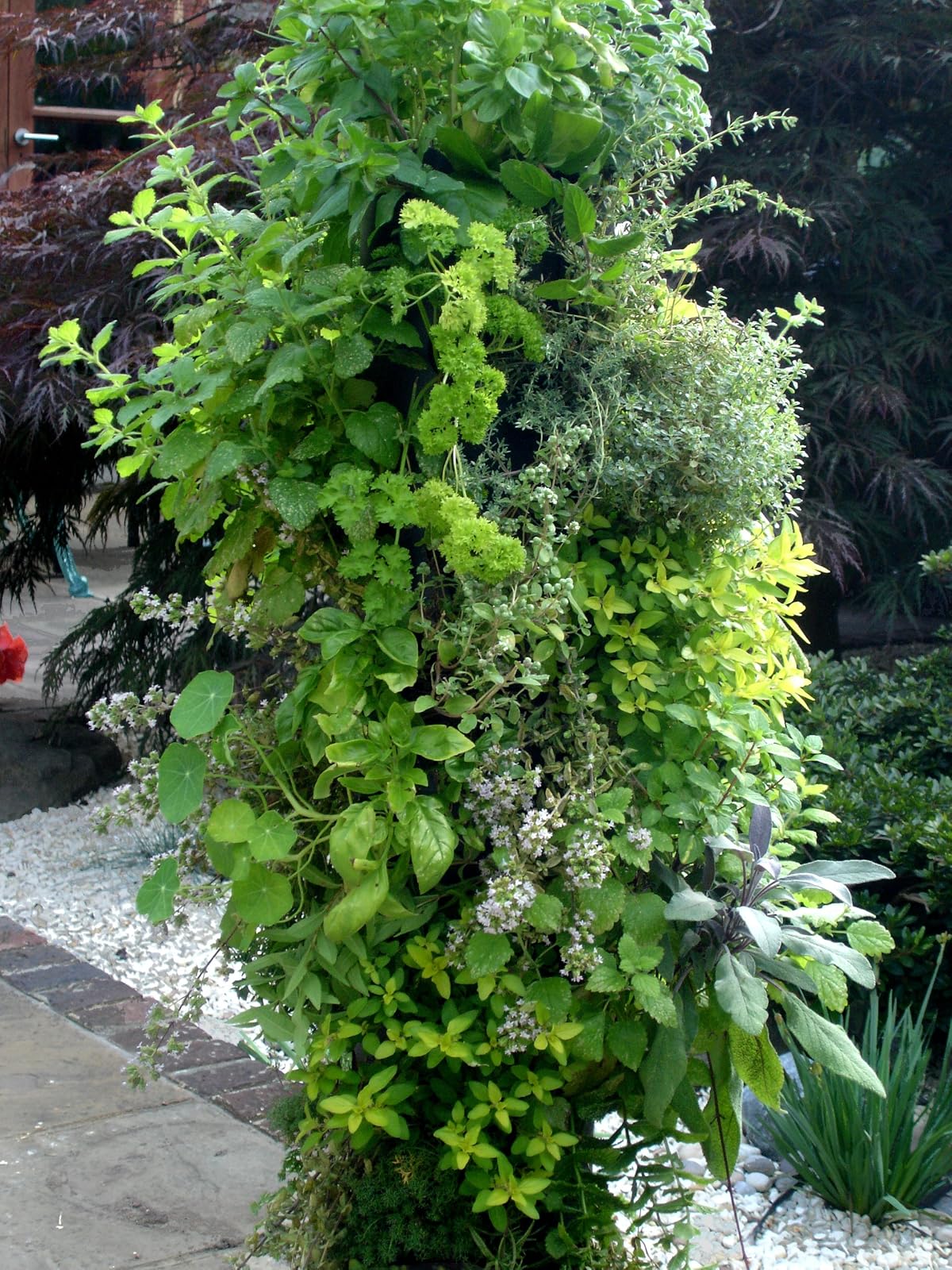 BALDUR-Garten Apollo Exports International AP-FT002 Torre de Flores no Empotrado, 3 pies